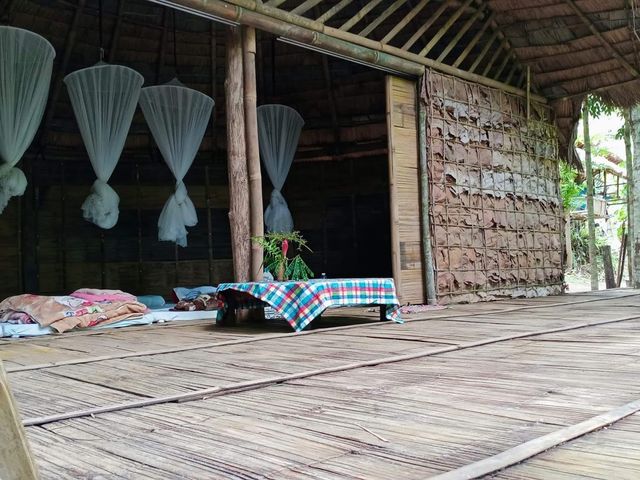 🏡 อยู่เถื่อน ณ สวนเกาะ 