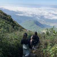 ดอยอินทนนท์⛰️🍃