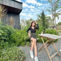 คาเฟ่ฟีลธรรมชาติ