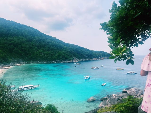 Similan Island Visit!