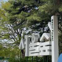 서울숲,예쁜 튤립이 활짝
