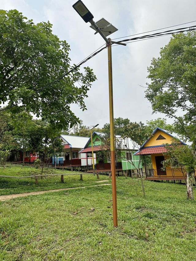 Angkor Forest Resort- Mondulkiri ⛰️🌳🪵🛖🏡🍲