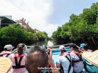 นั่งเรือชมป่าโกงกาง ไถหนาน