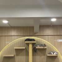 คาเฟ่แมวสุดหนุบหนับ 🐈 Mali Cat Cafe Bangsaen