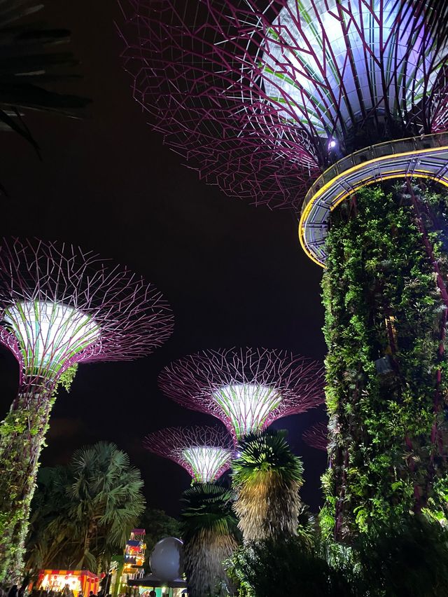 싱가포르에서 무료로 볼 수 있는 슈퍼트리 쇼🌳💚