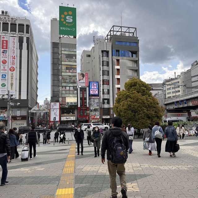 東京超大熱鬧賞櫻🌸地
