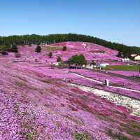 北海道 | 東藻琴芝櫻公園 五月再一起賞花吧