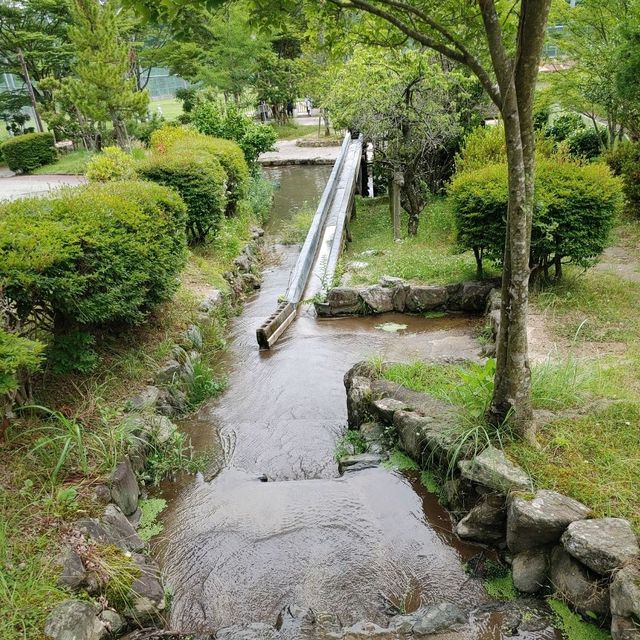 忍頂寺スポーツ公園　竜王山荘