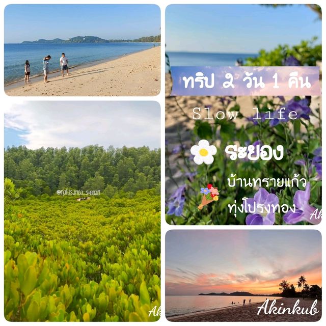ทริประยอง ฉบับ Slow life ทริประยอง ฉบับ Slow life