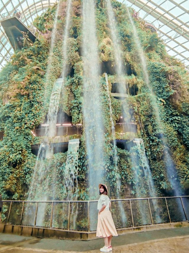 Cloud Forest at Garden By The Bay