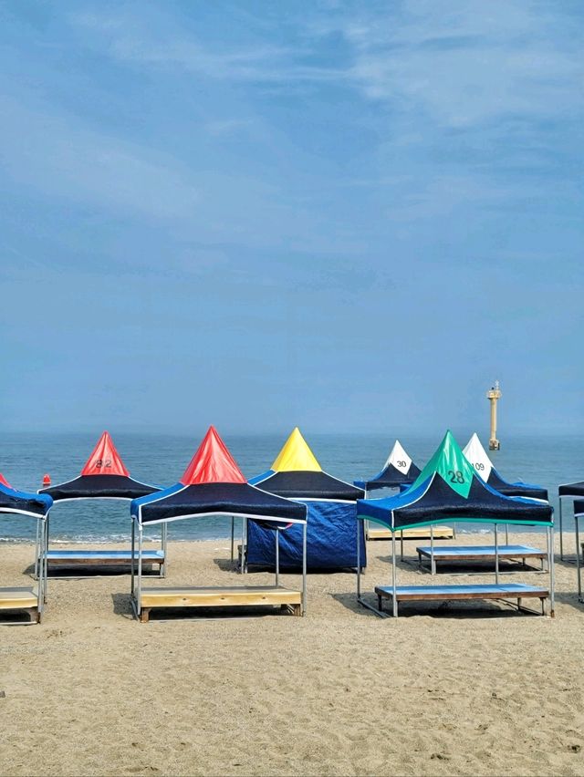 오토캠핑장과 물놀이장이 있는 경주 해수욕장🏖