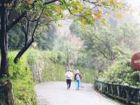 Hiking in Yangmishan, Taiwan