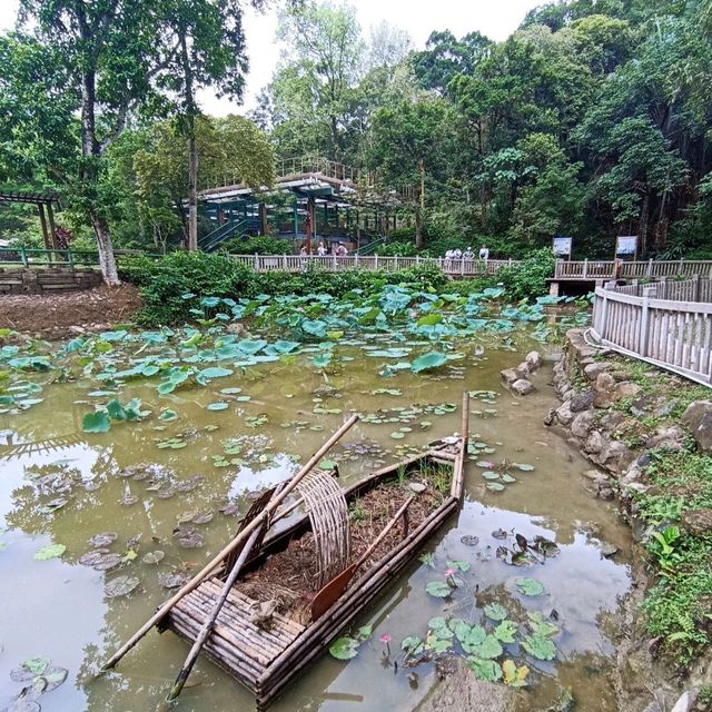 漁港風情！馬屎洲地質公園采風之遊 ！