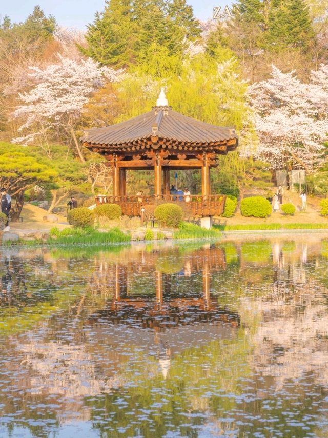 CNN에 소개된적있는 보문정