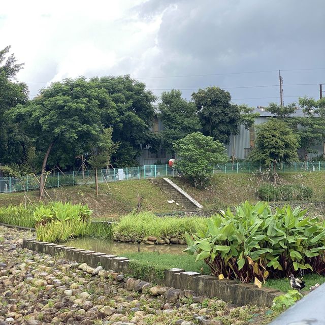 中原埤塘生態公園 🦆