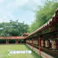 美到不要不要的竹林🌳🌳