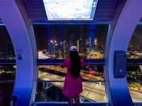 ชมวิวระฟ้ากับ Singapore Flyer 