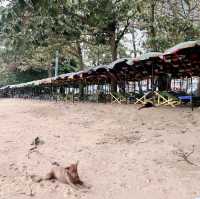 หาดจอมเทียน ชลบุรี🏖️🏖️