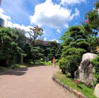 香港南蓮園池：尋找城市中的恬靜之地