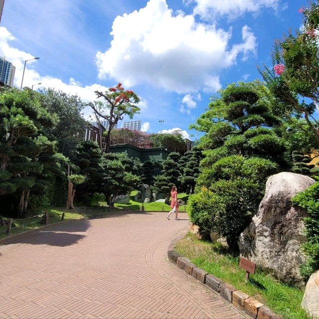 香港南蓮園池：尋找城市中的恬靜之地