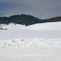 Gulmarg -The Heaven 