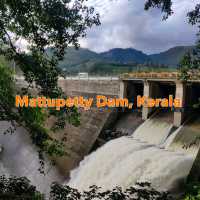 Unique Natural beauty of Munnar 