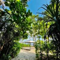 🌅🏖️🌴 廸沙魯海岸One&Only唯逸度假酒店😎夢幻海灘的極致享受 🌅🏖️🌴