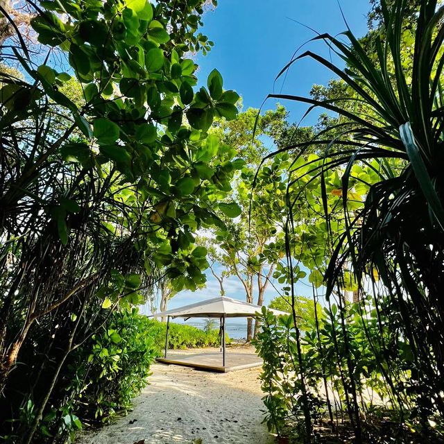 🌅🏖️🌴 廸沙魯海岸One&Only唯逸度假酒店😎夢幻海灘的極致享受 🌅🏖️🌴