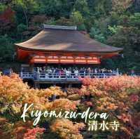 Autumn Night Illumination of the Kiyomizu-dera