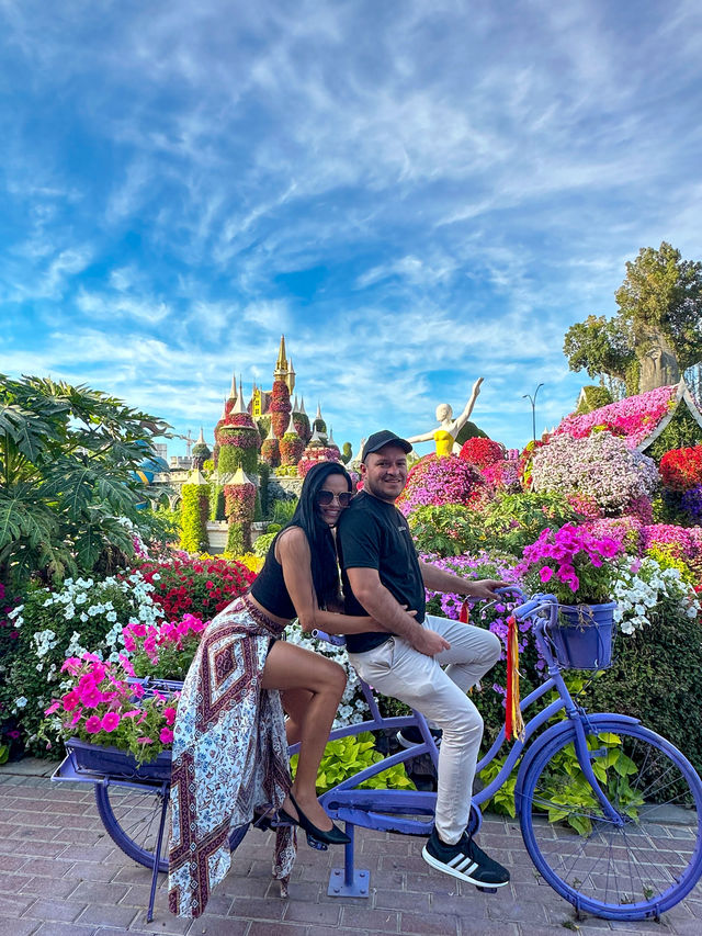 A Flowering Oasis in the Desert