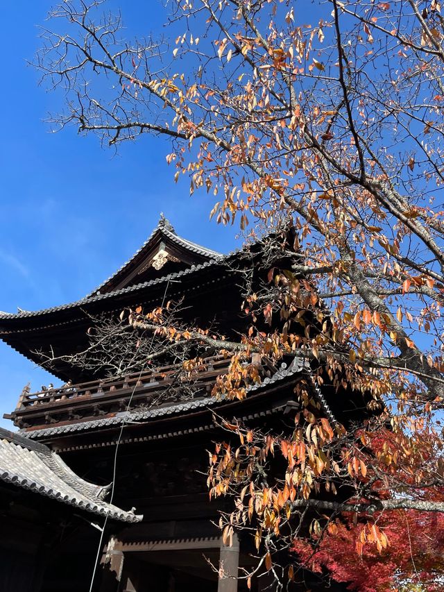 秋の京都　南禅寺と水路閣