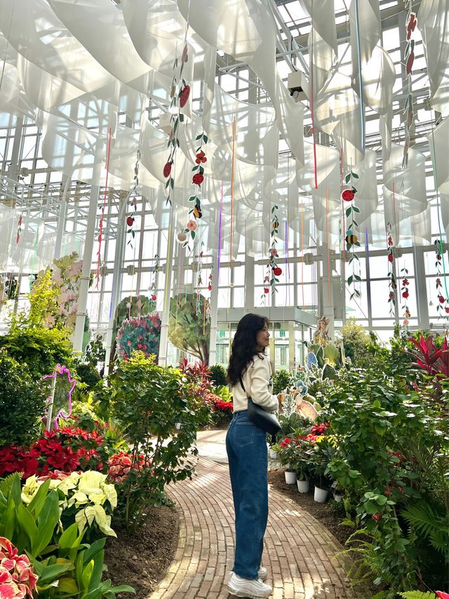 겨울실내여행지 추천✨ 국립세종수목원