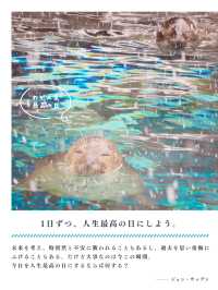 【北海道】冬の動物園を名言と共に楽しもう🐻‍❄️🐧🦭🦝🐺💕