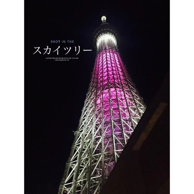夜の東京デート/観光🍸🐠