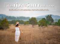 ทุ่งสะวันนาแห่งเมืองไทย ทุ่งหญ้าสีทอง