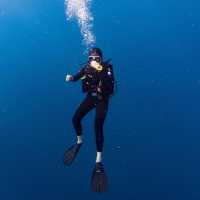 ดำน้ำเกาะเต่า 🤿  #scuba