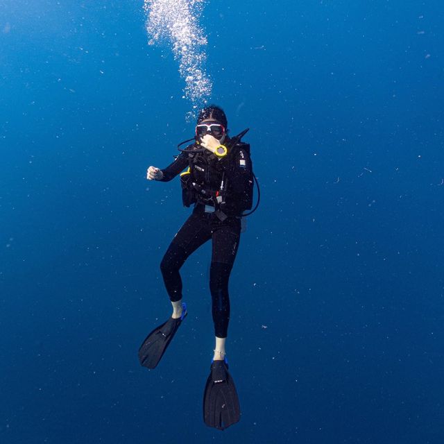 ดำน้ำเกาะเต่า 🤿  #scuba  ดำน้ำเกาะเต่า 🤿  #scuba