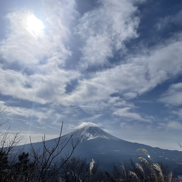 獨一無二的看著富士山盪鞦韆