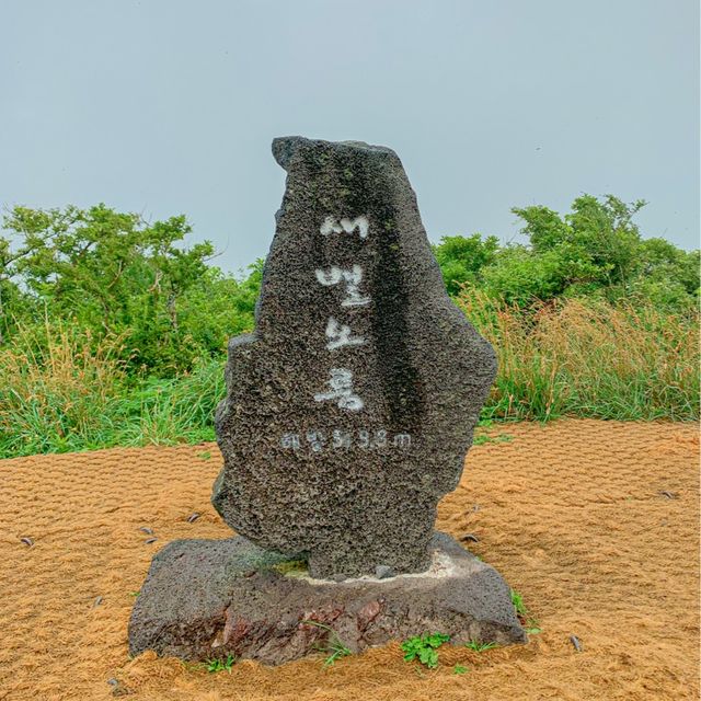 새별오름에서 느끼는 풀의 싱그러움