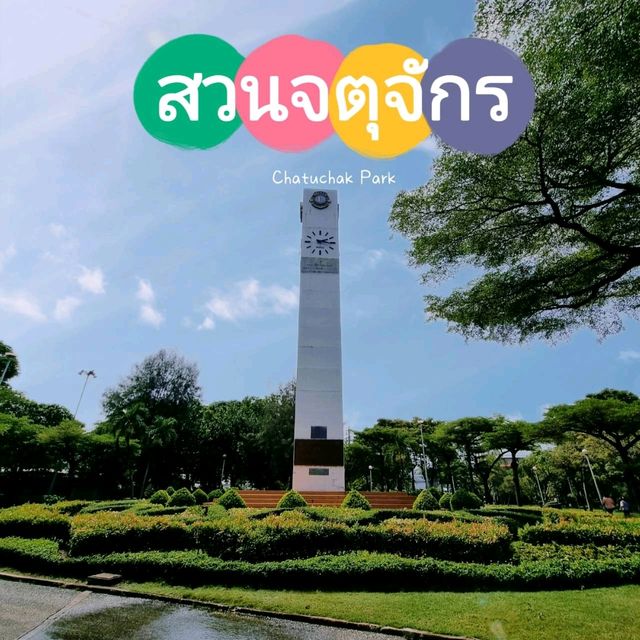 สวนจตุจักร 🌿🌷 