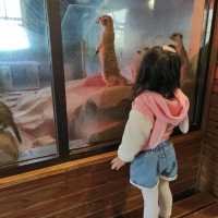 人生必到 野生動物餵食體驗