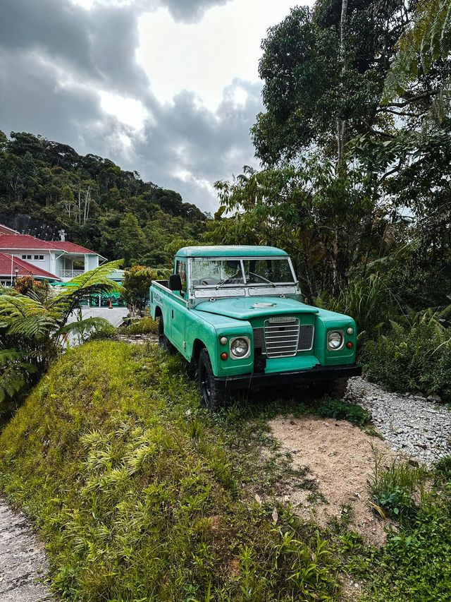 Vintage cars of Cameron Highlands  Vintage cars of Cameron Highlands