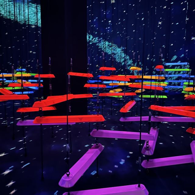 Art Science Museum