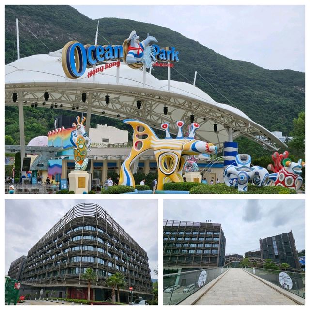 輕鬆易行👣南區海濱長廊路段:淺水灣至黄竹坑