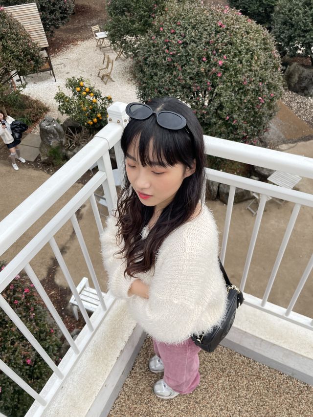 동백꽃을 가장 가성비로 볼 수 있는 곳 [동백 포레스트]