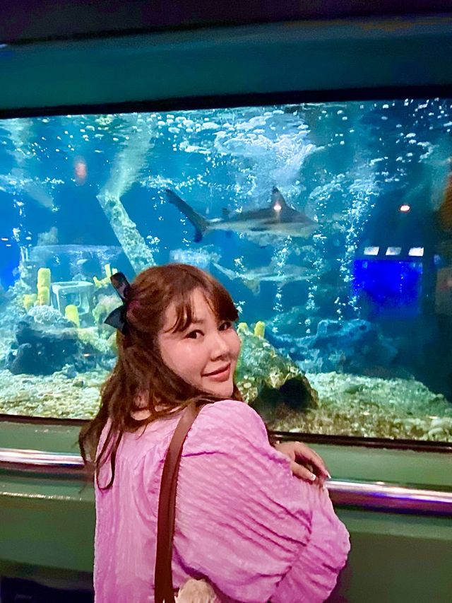พิพิธภัณฑ์สัตว์น้ำ ระยอง 🦀