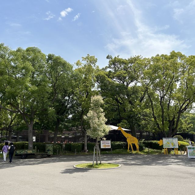【 市區內的傳統動物園。天王寺動物園 】