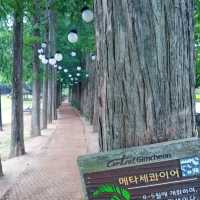 20년만에 찾은 직지사 직지문화공원.사명대사공원