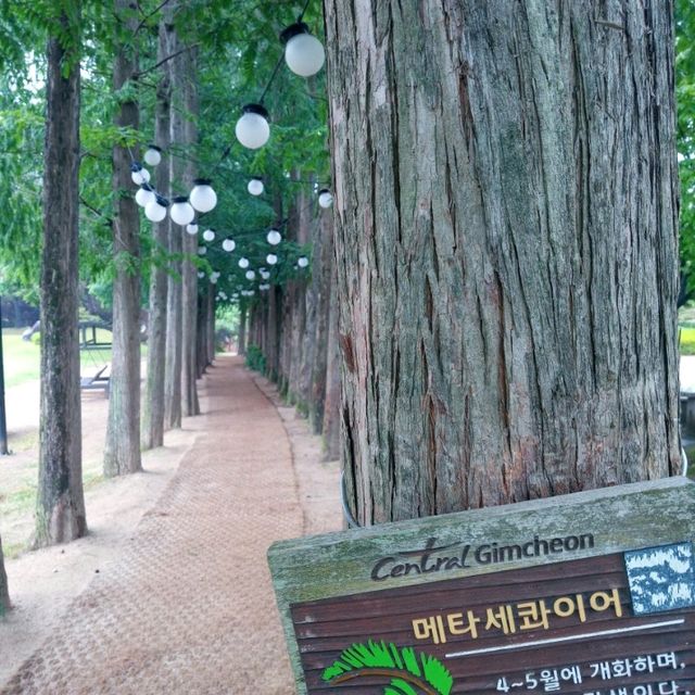 20년만에 찾은 직지사 직지문화공원.사명대사공원