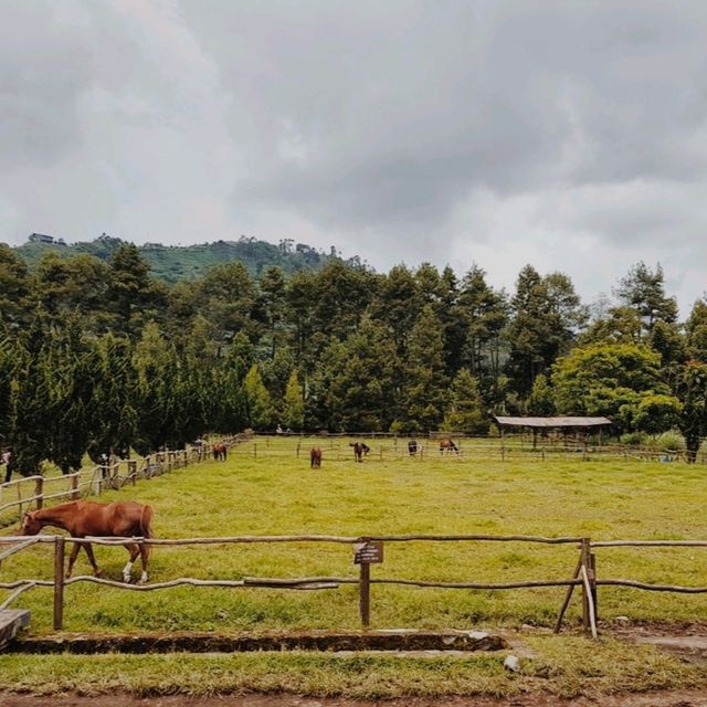 De Ranch, Bandung